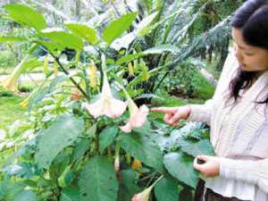 安顺市举办首届清真饮食文化节